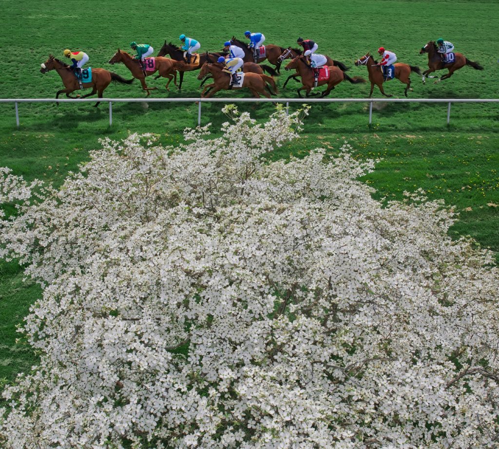 Keeneland